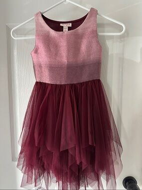 Cat & Jack Pink and Burgundy Tulle Party Dress